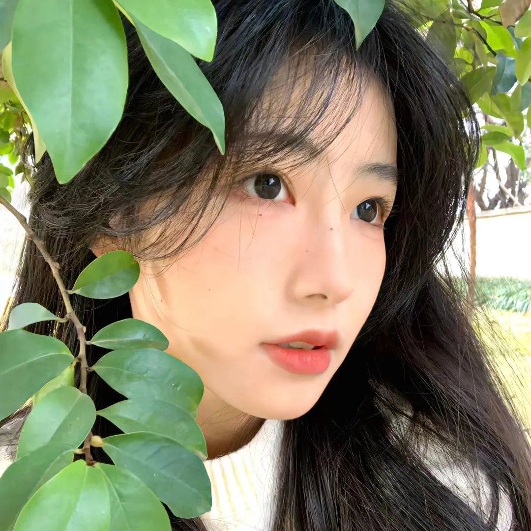 理性和感性